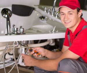About Plumbers Pros Sumner, MI